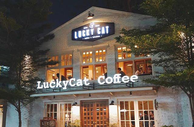 Lucky Cat Coffee & Kitchen: Lebih dari Sakadar Kafe Kekinian