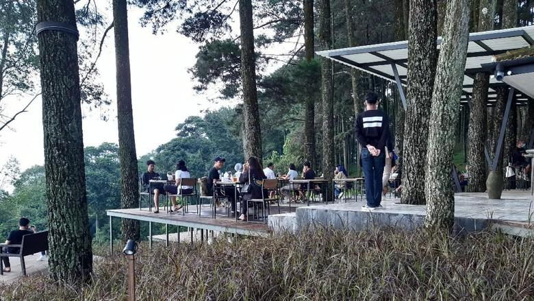 Pasir Angin, Kedai Kopi di Tengah Hutan Pinus Megamendung