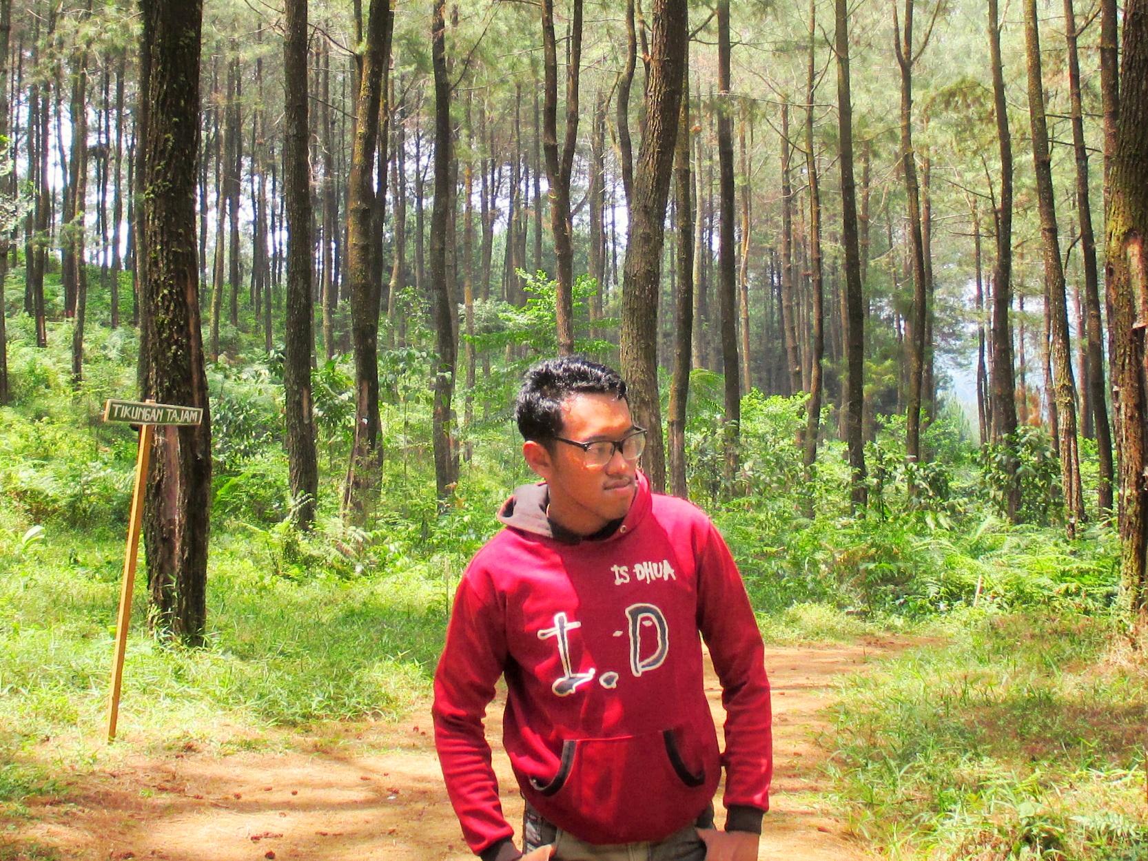 image partner