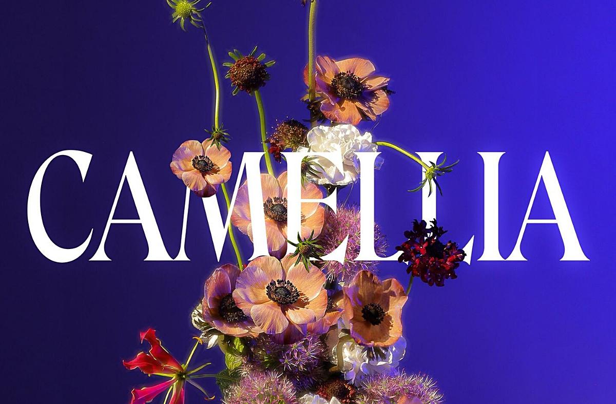 Tandai Kedewasaan dalam Bermusik, Sivia Rilis ''Camellia''